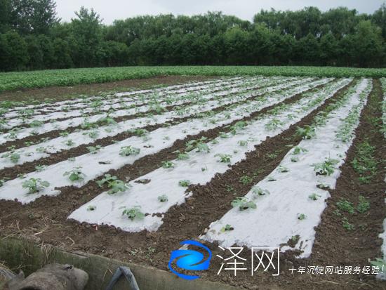 某農業園公司的視頻宣傳